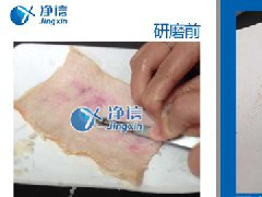 研磨豬皮提純細胞采用浸入式液氮冷凍研磨儀處理效果